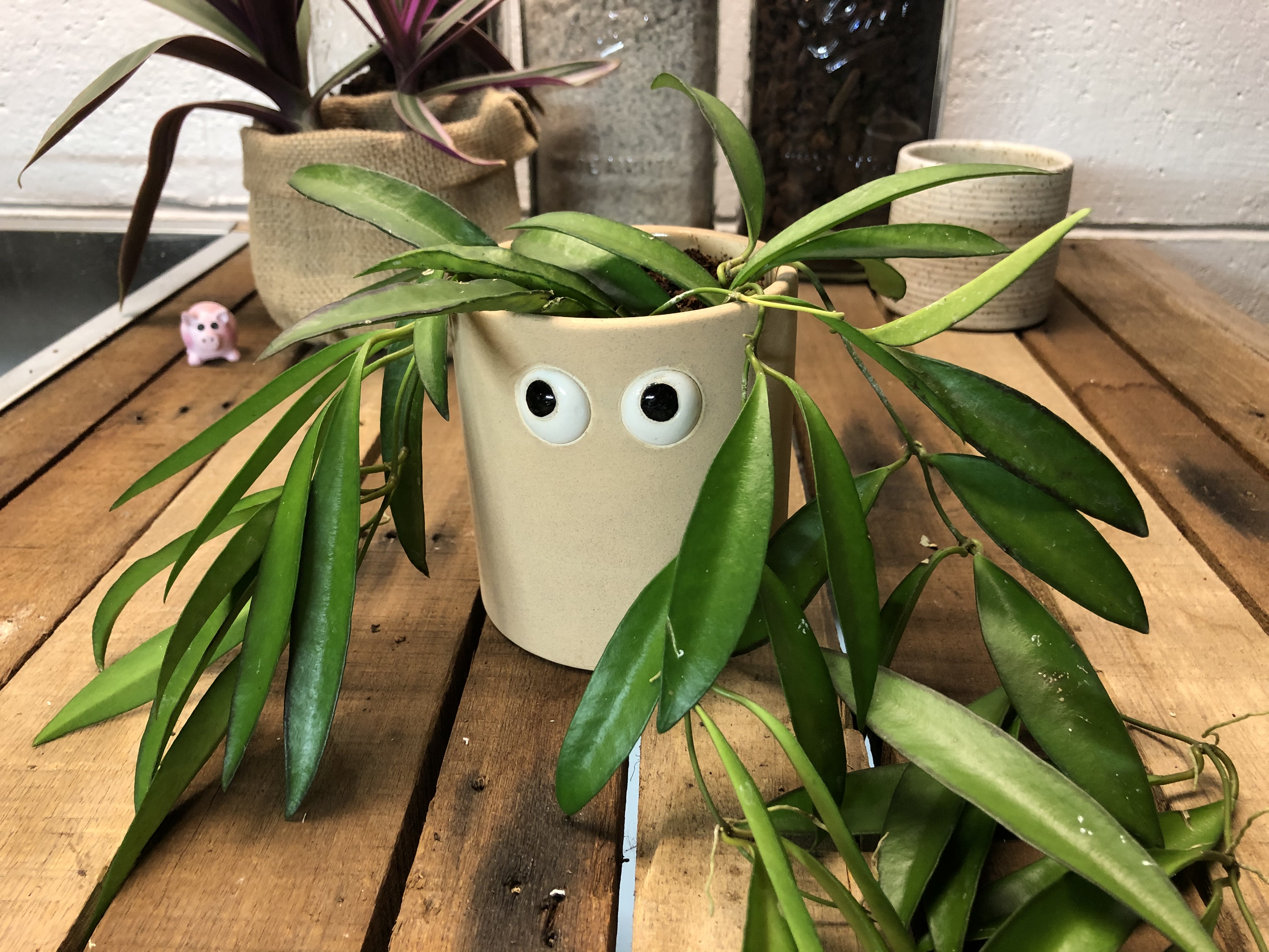 decorative indoor planter pots Radiant Metal Planter Set